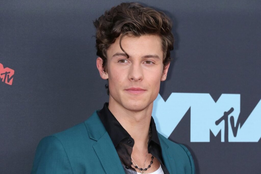 Shawn Mendes Hairstyle