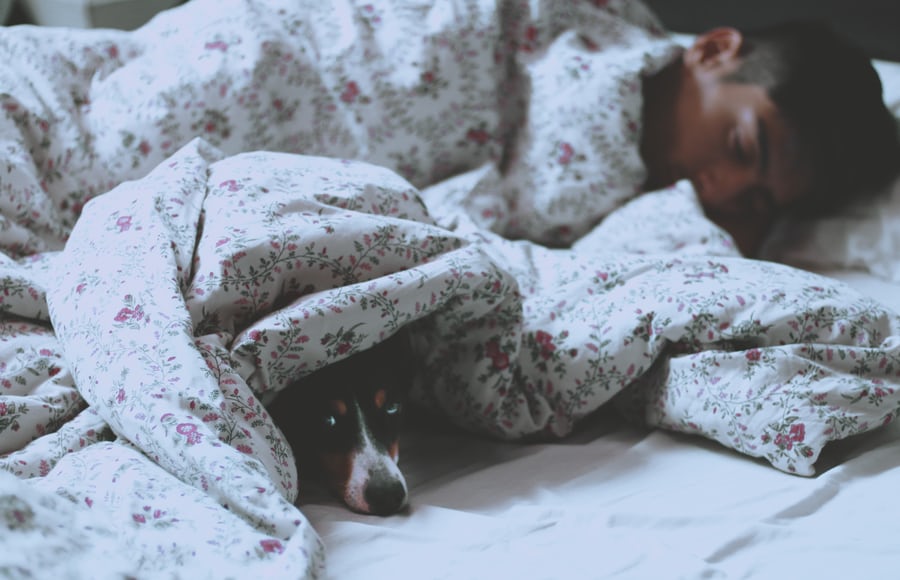 man sleep with dog in bed