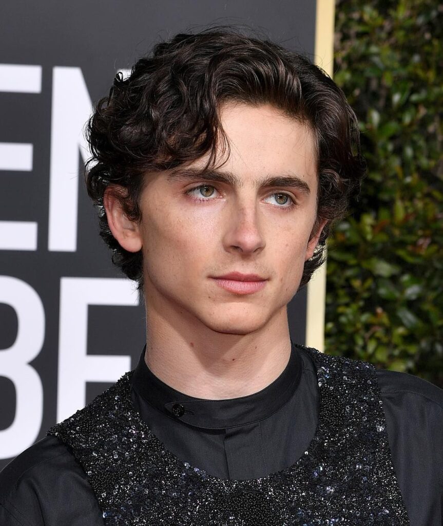 timothee chalamet hairstyle